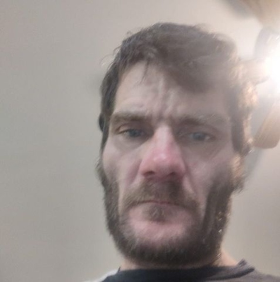andyholleman07